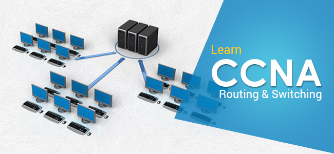 CCNA training online