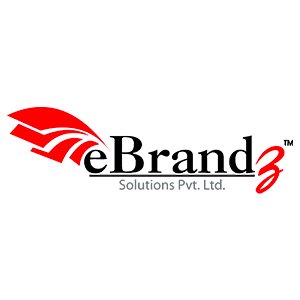 eBrandz leading SEO Company in India
