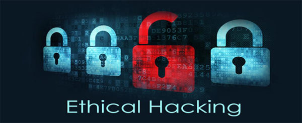 Ethical Hacking courses in chandigarh