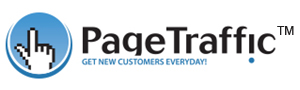 Page Traffic - India's best SEO Company