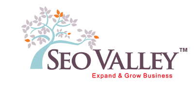 SEO Valley Solution Private Limited