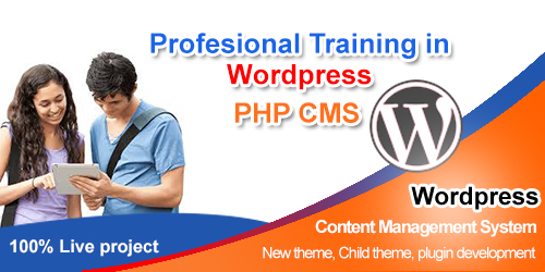 wordpress training online
